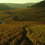 elodie debard 5f23kdhzutq unsplash