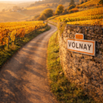 faa0c9b9 fd01 44ff a6d9 dce980ef9a3c