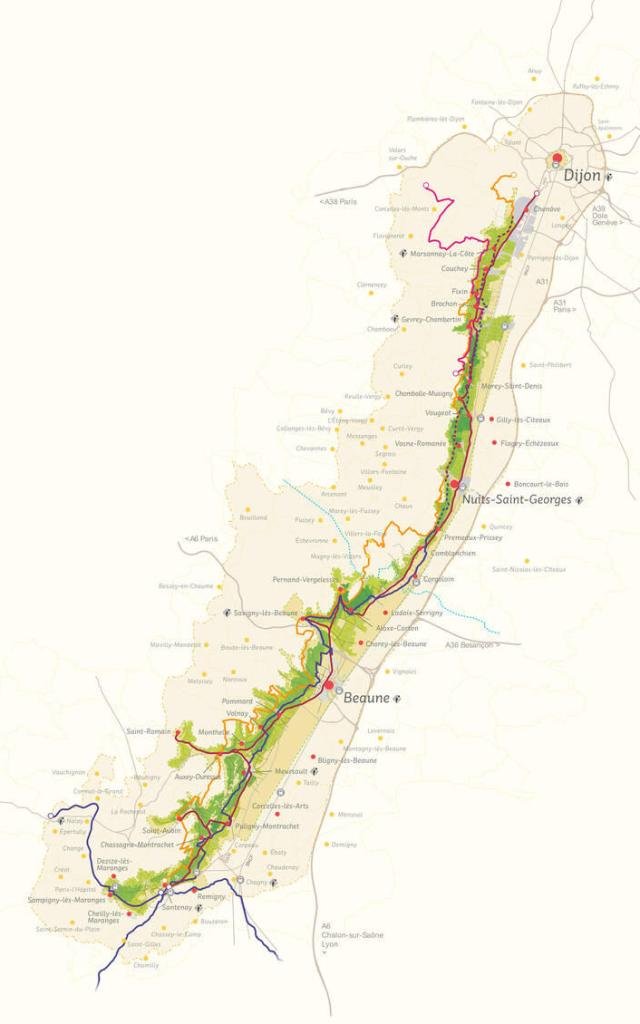 route des grands crus carte 640x1024 crop 1679910511